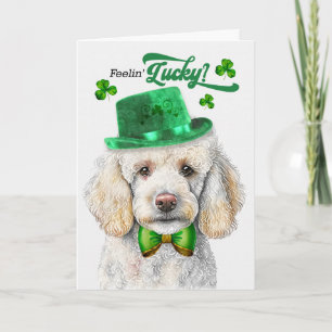 Standaard Poodle Hond Voelt zich Gelukkig St. Patr Feestdagen Kaart