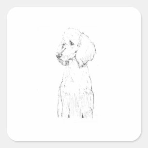 Standaard Poodle Honden Illustratie Vierkante Sticker