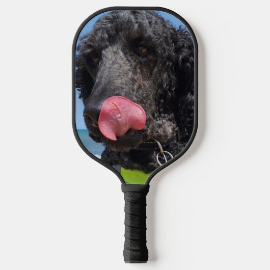 Standaard Poodle Pickleball Paddle (Voorkant)