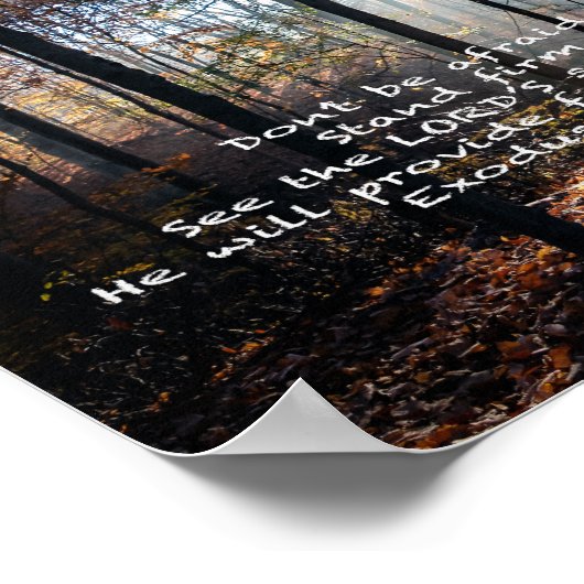 Standaard — poster (Hoek)