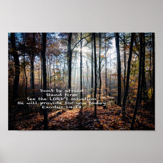 Standaard — poster (Voorkant)