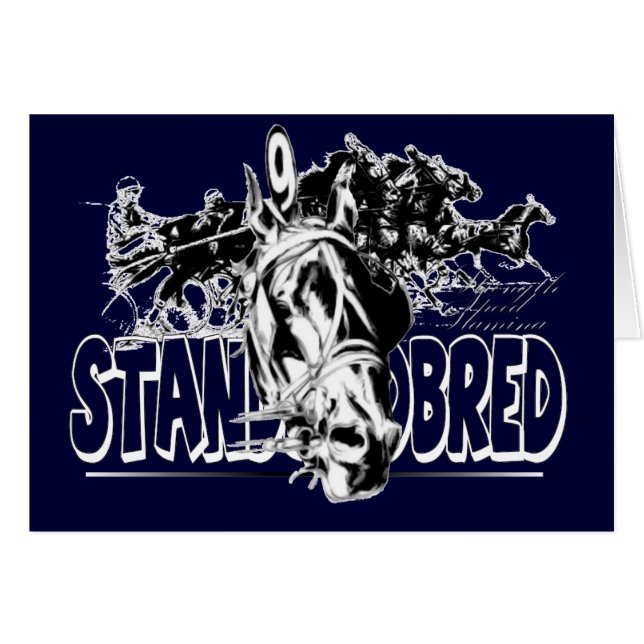 Standaard races (Voorkant Horizontaal)