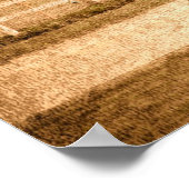 Standaard races poster (Hoek)