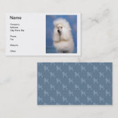 Standaard Visitekaartjes (Voorkant / Achterkant)