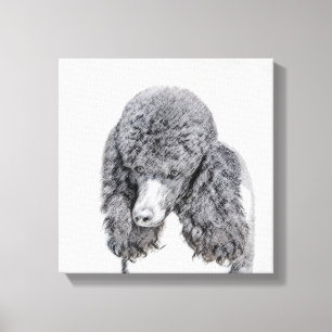 Standaard zwart-witschilderwerk met wieltjes canvas afdruk