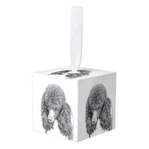 Standaard zwart-witschilderwerk met wieltjes kubus ornament