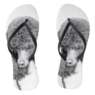 Standaard zwart-witschilderwerk met wieltjes teenslippers