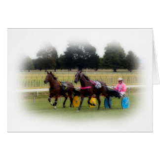 Standaardindelingen op het Racetrack