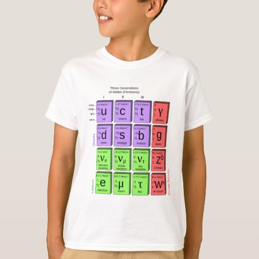 Standaardmodel van elementaire deeltjes t-shirt (Voorkant)