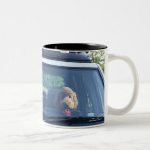 standaardpoedel 4 tweekleurige koffiemok
