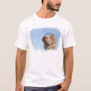Standaardpoel T-shirt