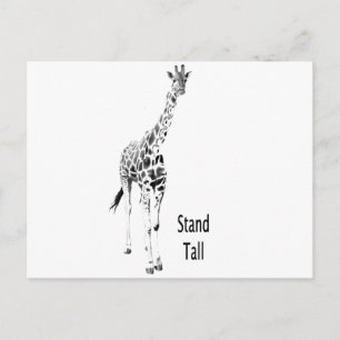 Standaardraal Briefkaart