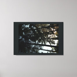 Standaardraal Canvas Afdruk