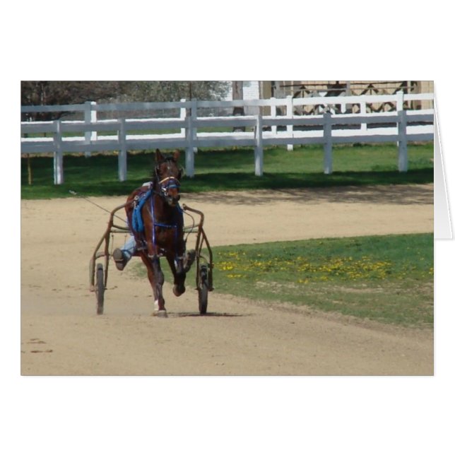 Standard (Devant horizontal)