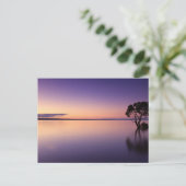 Standard Postcard Briefkaart (Staand voorkant)