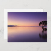 Standard Postcard Briefkaart (Voorkant / Achterkant)