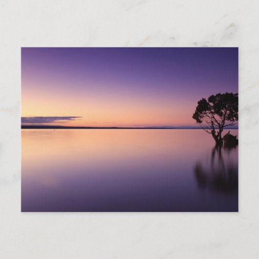 Standard Postcard Briefkaart (Voorkant)