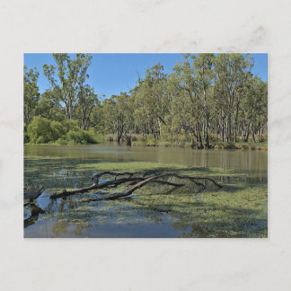 Standard postcard briefkaart