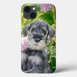 Standard Schnauzer Puppy in een bloeiende tuin -  iPhone 13 Hoesje