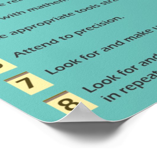 Standards for Mathematical Practices Poster (Coin)