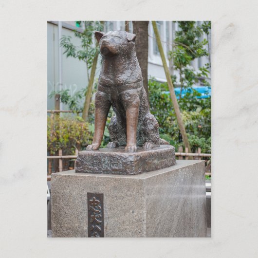 Standbeeld van Chuken Hachiko Briefkaart (Voorkant)