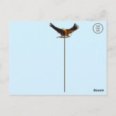 standbeeld van de zeearend briefkaart (Achterkant)