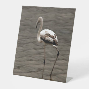 Standing Alone Juvenile Flamingo Art Reclamebord Met Voetstuk