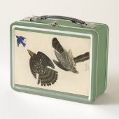 Stanley (Cooper's) Hawk Audubon's Birds of America (Voorkant)