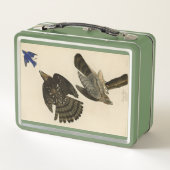 Stanley (Cooper's) Hawk Audubon's Birds of America (Achterkant)