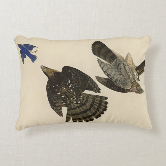 Stanley (Cooper's) Hawk Audubon's Birds of America Accent Kussen (Voorkant)