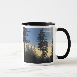 Stanley Park, bossen, marienevel mist die binnenro Mok