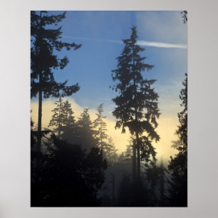 Stanley Park, bossen, marienevel mist die binnenro Poster