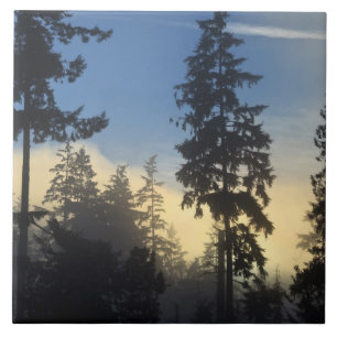 Stanley Park, bossen, marienevel mist die binnenro Tegeltje