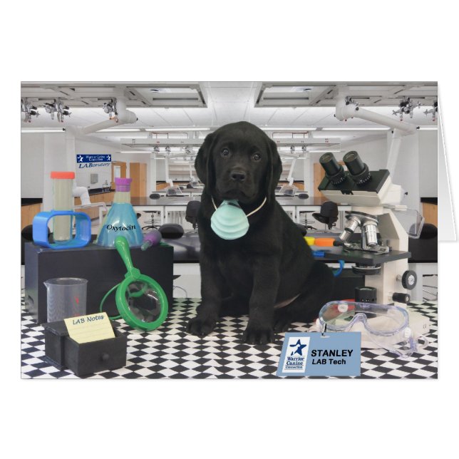 Stanley week 8 (Voorkant Horizontaal)