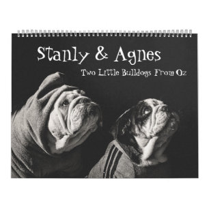 Stanly & Agnes - twee kleine bulletdogs van OZ Kalender