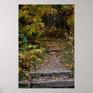 Stap naar het Appalachian Trail Poster