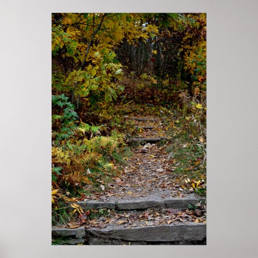 Stap naar het Appalachian Trail Poster (Voorkant)
