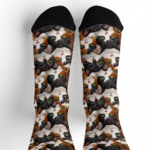 Stapel katten Sokken