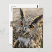 Stapelwortel Briefkaart (Voorkant / Achterkant)