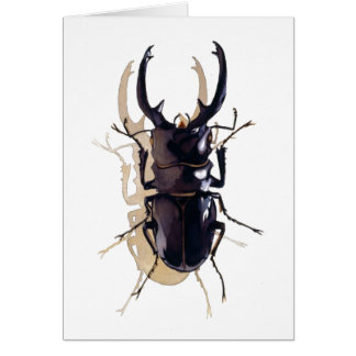 "Stapkever" Insecte Waterverf Art