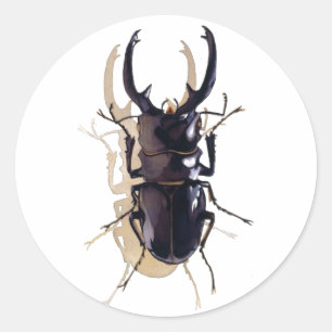 "Stapkever" Insecte Waterverf Art Ronde Sticker