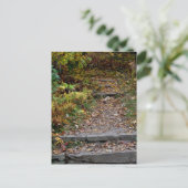 Stappen naar de Applaus Briefkaart (Staand voorkant)