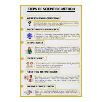 Stappen van de wetenschappelijke methode