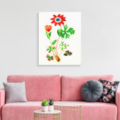 Star Anemone Canvas Afdruk (Insitu (Woonkamer))