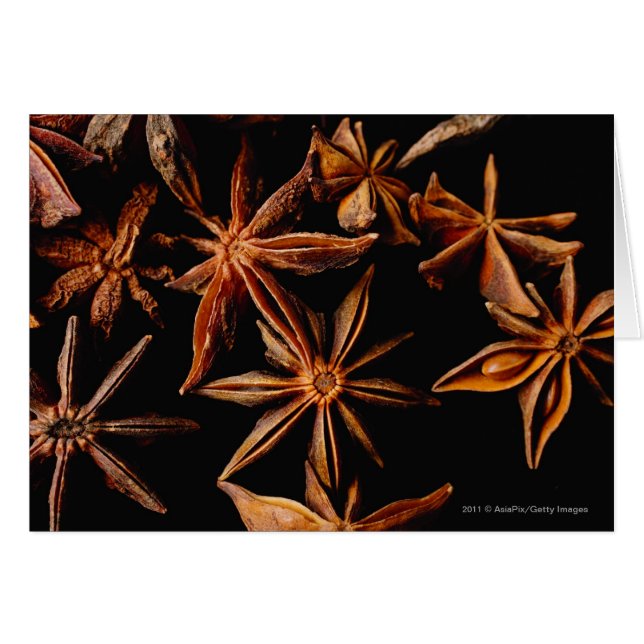 Star anise (Voorkant Horizontaal)