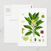 Star anise briefkaart (Voorkant / Achterkant)