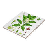 Star Anise Tegeltje (Zijkant)