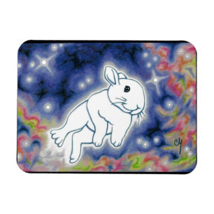 Star Bunny van Carrie Michael Magneet