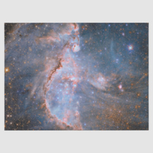 Star Cluster NGC 346 Tissuepapier