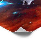 Star Dolphins Poster (Hoek)